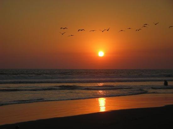 thumbnail_costa-del-sol
